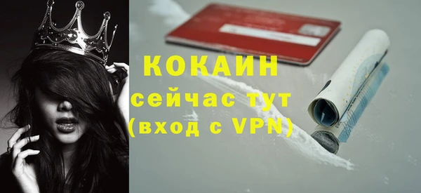 тгк Абаза