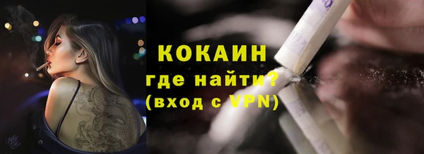тгк Абаза