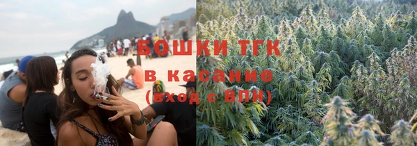 ешки Алексин