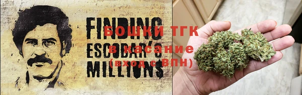 тгк Абаза