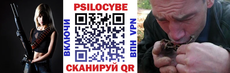 Галлюциногенные грибы Cubensis  закладка  Камызяк 