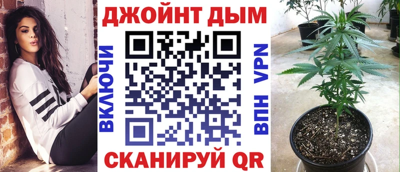 Бошки марихуана семена  наркотики  Камызяк 